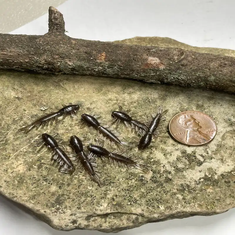 Family Fishin 1 inch mayfly soft plastic baits on a streamside rock next to a penny showing actual size